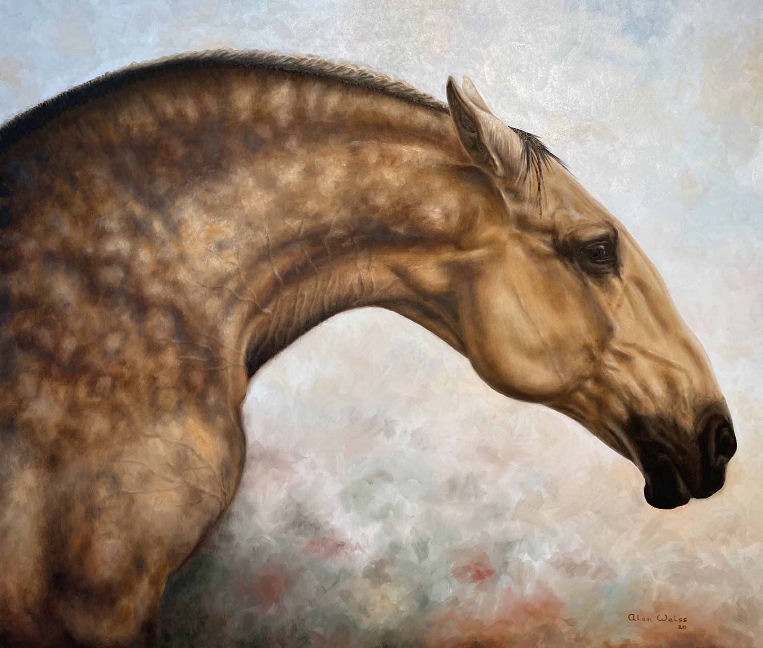 Equus (1500 x 1275)
